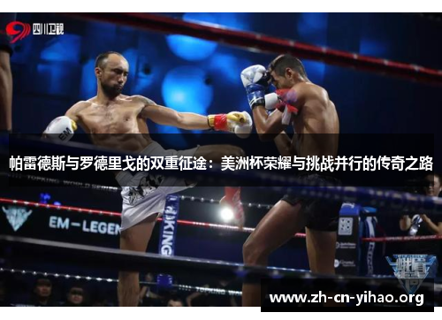 帕雷德斯与罗德里戈的双重征途：美洲杯荣耀与挑战并行的传奇之路
