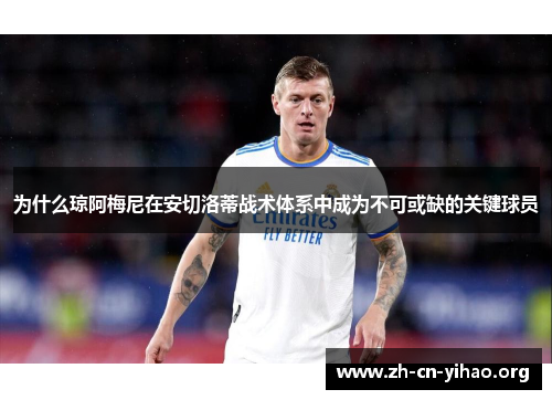 为什么琼阿梅尼在安切洛蒂战术体系中成为不可或缺的关键球员