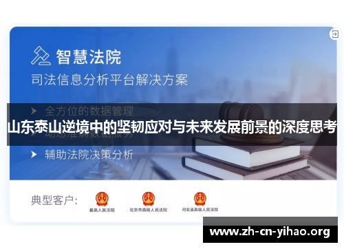 山东泰山逆境中的坚韧应对与未来发展前景的深度思考