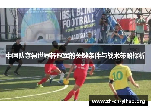 中国队夺得世界杯冠军的关键条件与战术策略探析
