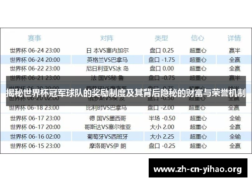 揭秘世界杯冠军球队的奖励制度及其背后隐秘的财富与荣誉机制