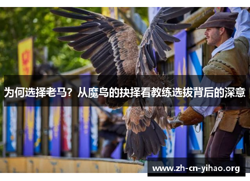 为何选择老马？从魔鸟的抉择看教练选拔背后的深意