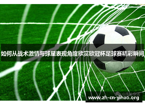 如何从战术激情与球星表现角度欣赏欧冠杯足球赛精彩瞬间