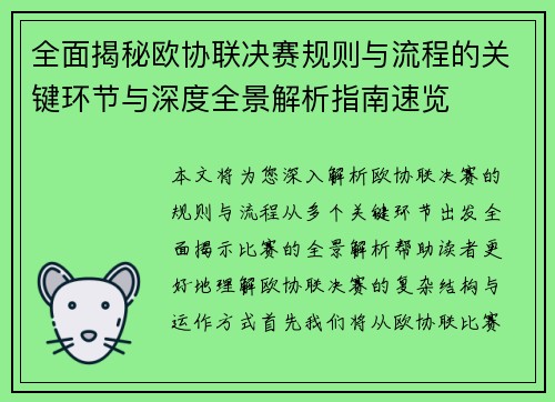全面揭秘欧协联决赛规则与流程的关键环节与深度全景解析指南速览