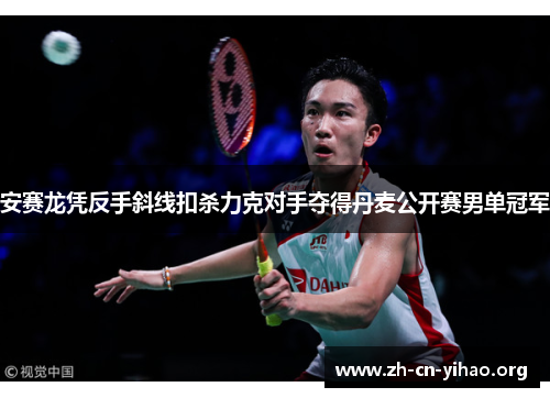 安赛龙凭反手斜线扣杀力克对手夺得丹麦公开赛男单冠军 安赛龙凭反手斜线扣杀力克对手夺得丹麦公开赛男单冠军