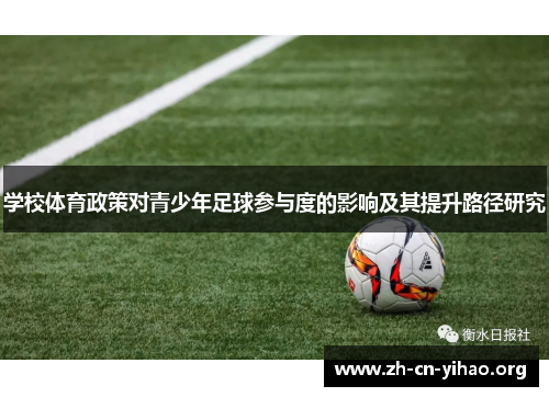 学校体育政策对青少年足球参与度的影响及其提升路径研究