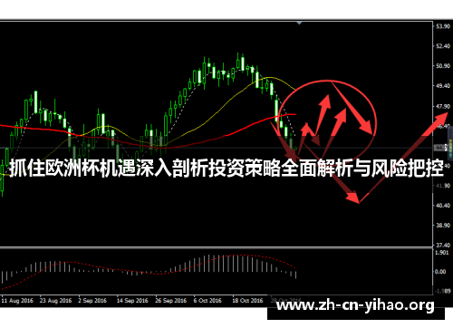 抓住欧洲杯机遇深入剖析投资策略全面解析与风险把控